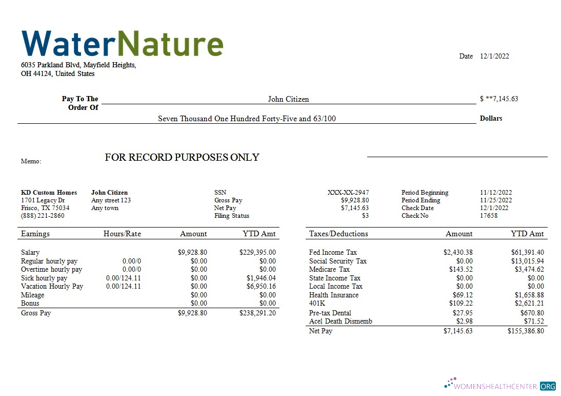 Download water company editable earning statement template in Word and PDF formats Photoshop template